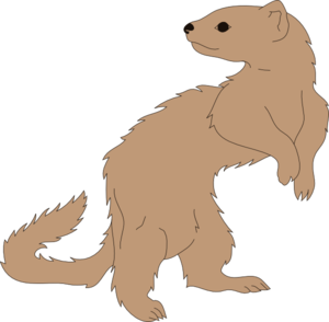 Ferret Looking Back Clip Art
